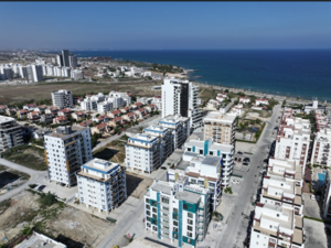 Modern 1-bedroom homes designed for comfort and ease.