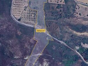 Land in Sicily - Coniglio Cda Manca