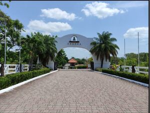 Lot of Land 7,687.047 sqft - 103,742.19 US / 90,970 EU