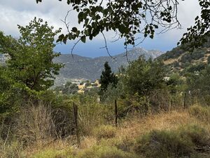 Seaside Plot for Sale in Karystos, Evia – 5,000m² with Panor