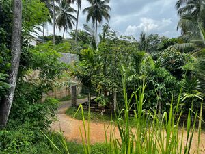 Valuable Semi-Commercial Land for Sale Mawathagama, Kurunega