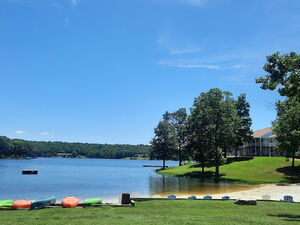 Super Cash Deal– Own Your Own Land Now!