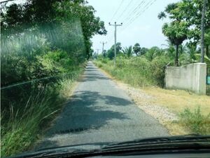 Lagoon Front Land For Sale 