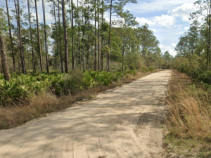 Hurry! 0.22 Acres in Florida for Just $129 - Limited Offer!