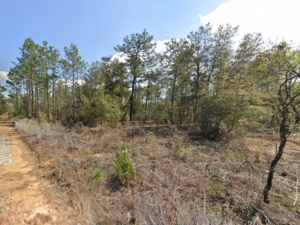 Smartest $125 You'll Ever Spend In FLORIDA Is Right Here