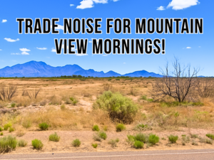 Deming, NM Land for Sale