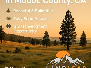 🏞️ 1.4 Acre Corner Lot w/ 2 Roads – Peaceful & Buildable!