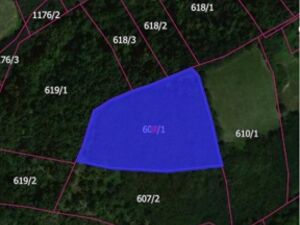 I am selling two fields Darosava-Arandjelovac