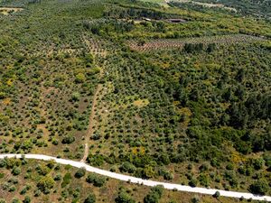 5.5 Hectares Of Land For Sale In Alentejo Portugal