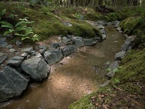 This isn’t Disney, AI was not used in creating this video! 