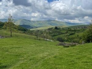 Land for sale in Zlatibor