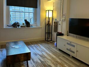 1 bathroom with a shower and a hair dryer.