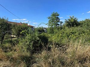 Plot of 61 are in Belo Breg-Indjija