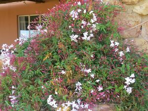 For The Farmer At Heart (634)