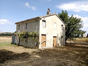 Detached countryside house with land in Corinaldo, Marche