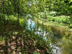 A unique opportunity: Stone River 1.28 ha JURA PARK