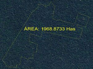 1900 has Forest land in the heart of the jungle - Loreto