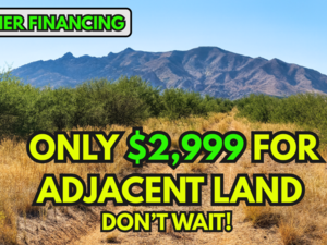 $50 for TWO Adjoining Lots in Arizona? You Read That Right