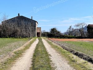 Casale Storico da ristrutturare a Castelfidardo!