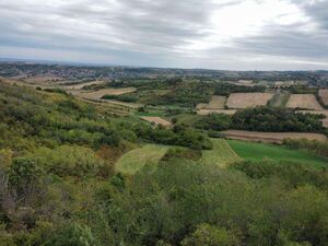 Excellent investment, excellent view