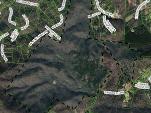 Gibbs Mountain Family Limited Partnership