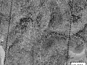 WESTERN NORTH CAROLINA TIMBERLAND. 