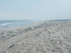 For sale: 6.83 Has Oceanfront land in Lambayeque province