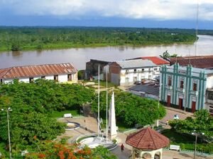 For Sale: 1.38 Has Commercial Land in Yurimaguas, Loreto