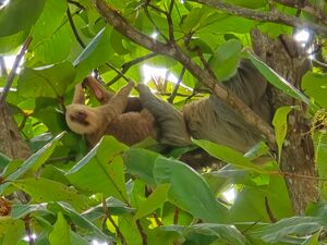 Riverside Haven: Versatile Coastal Retreat in Dominical CR