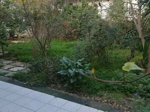 Two house Duplex in Lovely Athens Suburb