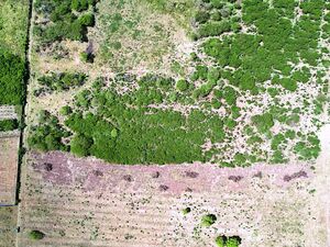 Vacant Virgin Land in the Caribbean