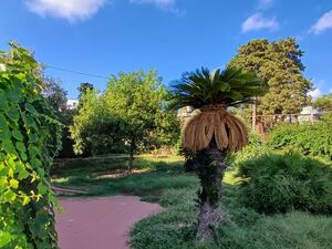 VILLA INDIPENDENTE PANORAMICA CON AMPIO GIARDINO E BOX AUTO