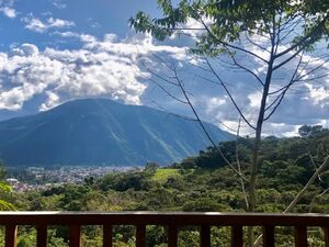 For Sale: 1996 m2 - Hotel in the central jungle of Peru.