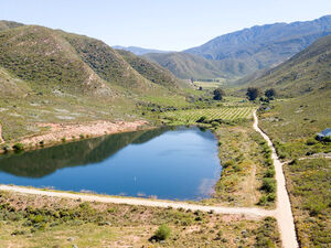 20% Shares of Hidden Treasure (609.1)