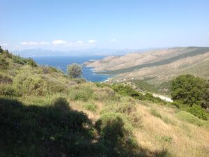 Sea-View 20,068 m² Buildable Plot — Nimporio, Evia (Greece)