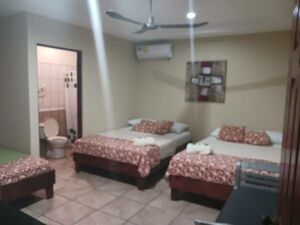 Turnkey 18-Bedroom Income Property — 11-Room Boutique Hotel 