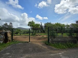 Rustic Land with Urban Area — 11,490 m² near Estoi, Algarve 