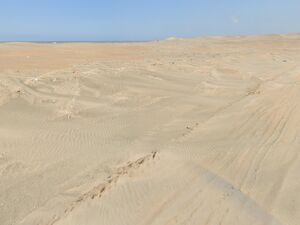 For Sale: 47 has Beachfront land in Chiclayo province.