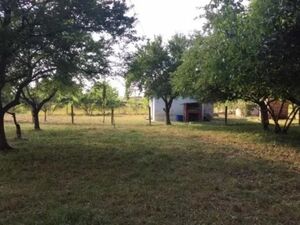 I am selling a house with a large plot in Obrež