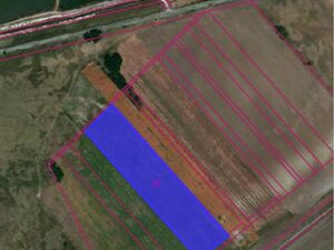 Agricultural land for sale - Zabalj