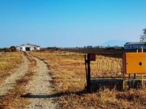 Poultry farm for sale or rent