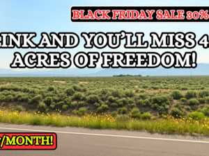 Black Friday: 30% OFF – 4.91 Acres in CO for $107/Mo!