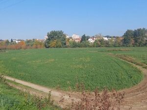 Plot of 46 ares in Kraljevo, KO RIbnica k.p. 58/1