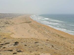 For Sale: 1200 hectares Beachfront Land in Piura, Peru.