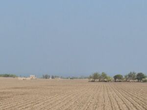 For Sale: 5 Has Commercial land / Industrial Land in Chancay