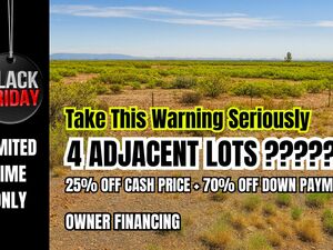 Just $47/Down Get 4 Adjacent Lots! Black Friday 70% Off Deal