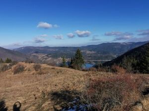 Zaovine/Vasiliči, 44 ares