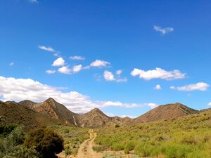 Natural Beginnings (642)