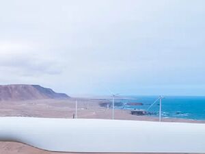 For Sale: 18000 has Land plot in Piura