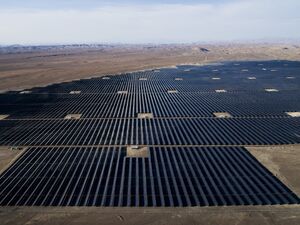 For Sale: 40000 has Land plot in Amazonas